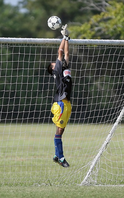 誉为俱乐部 誉为俱乐部