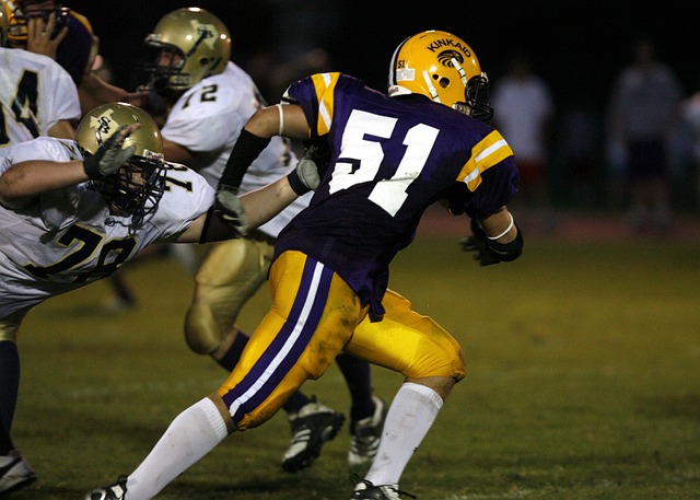 视野和比赛 视野和比赛