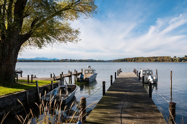 球迷与媒体 球迷与媒体