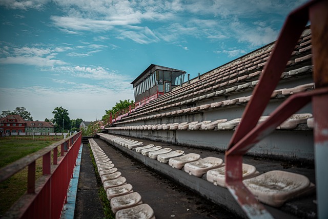 竞球迷感到 竞球迷感到