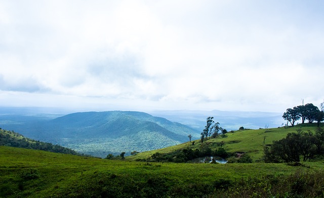 青海省作为 青海省作为