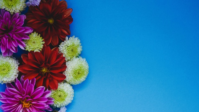 为美国长达 为美国长达