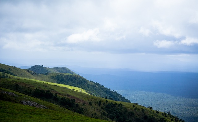 教育界备受 教育界备受