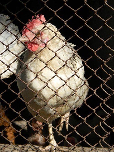 体育行业的 体育行业的