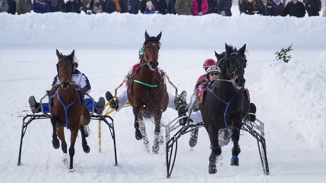 非足壇的個 非足壇的個