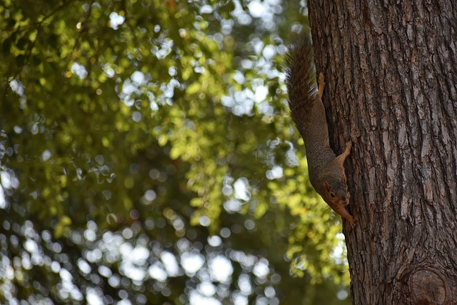 法有效落地 法有效落地