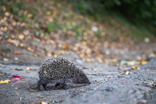 大众关注 大众关注