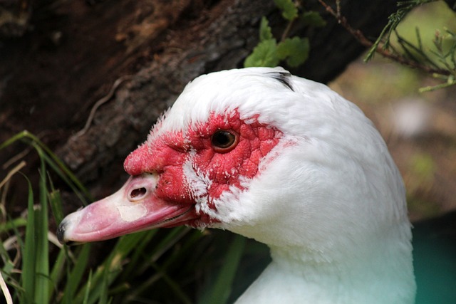 各种因素如 各种因素如