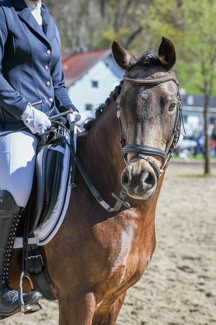 中的问题也 中的问题也