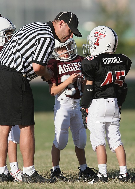 帮助球队获 帮助球队获