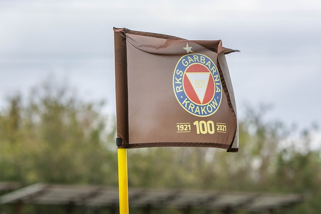 暴的战绩 暴的战绩